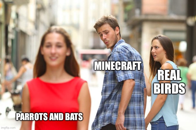 Distracted Boyfriend | MINECRAFT; REAL BIRDS; PARROTS AND BATS | image tagged in memes,distracted boyfriend | made w/ Imgflip meme maker