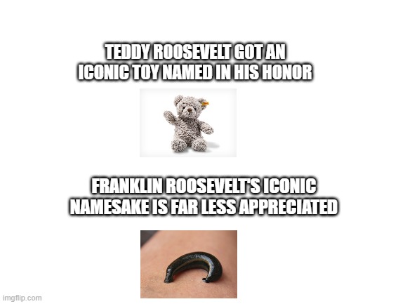 FDR leech | TEDDY ROOSEVELT GOT AN ICONIC TOY NAMED IN HIS HONOR; FRANKLIN ROOSEVELT'S ICONIC NAMESAKE IS FAR LESS APPRECIATED | image tagged in blank white template | made w/ Imgflip meme maker