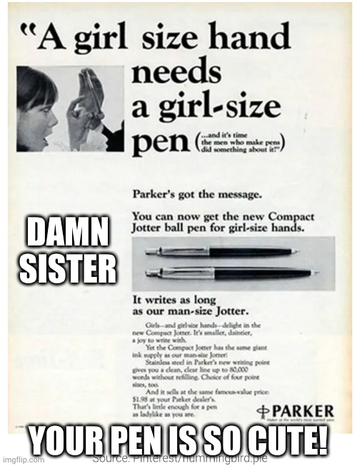 Can I hold it? | DAMN SISTER; YOUR PEN IS SO CUTE! | image tagged in pens for girls ad | made w/ Imgflip meme maker