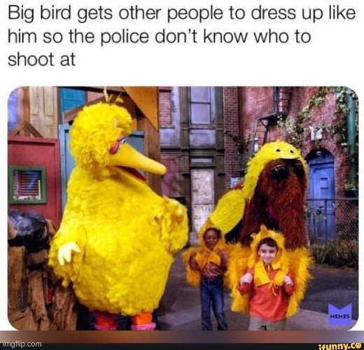 Big Bird | image tagged in big bird | made w/ Imgflip meme maker