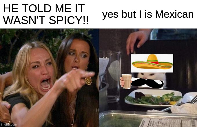 Woman Yelling At Cat | HE TOLD ME IT WASN'T SPICY!! yes but I is Mexican | image tagged in memes,woman yelling at cat | made w/ Imgflip meme maker