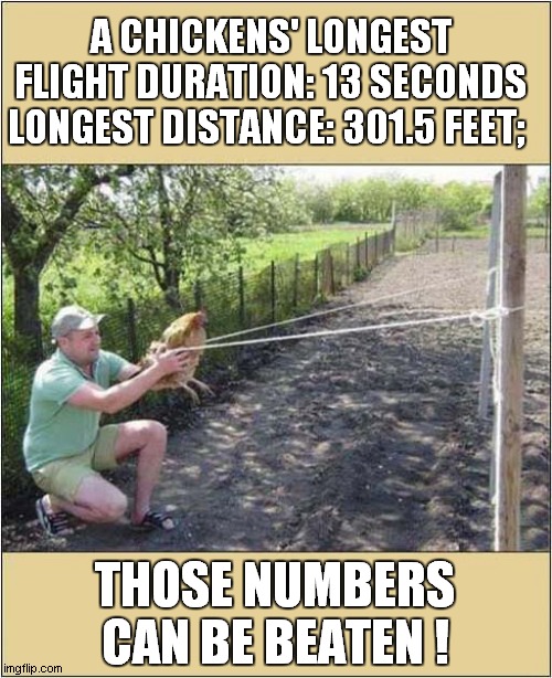 The 17th November Is Guinness World Record Day ! | A CHICKENS' LONGEST FLIGHT DURATION: 13 SECONDS LONGEST DISTANCE: 301.5 FEET;; THOSE NUMBERS CAN BE BEATEN ! | image tagged in guinness world record,chicken | made w/ Imgflip meme maker