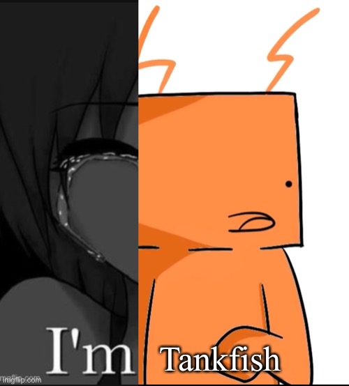 Hi I’m- cono tanku fishu neme umegaru | Tankfish | made w/ Imgflip meme maker