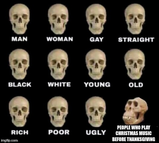idiot skull | PEOPLE WHO PLAY CHRISTMAS MUSIC BEFORE THANKSGIVING | image tagged in idiot skull | made w/ Imgflip meme maker