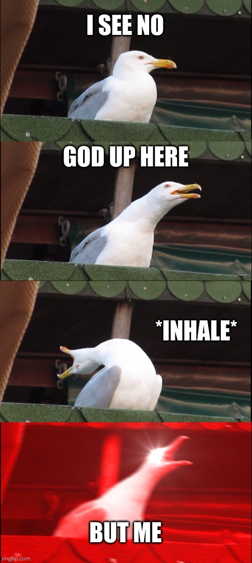 Seagull God | I SEE NO; GOD UP HERE; *INHALE*; BUT ME | image tagged in memes,inhaling seagull | made w/ Imgflip meme maker