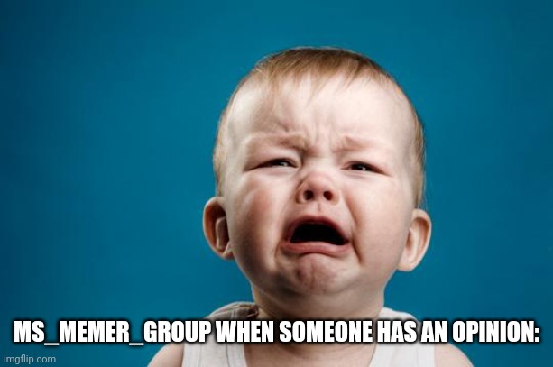 Making fun of msmg because yes | MS_MEMER_GROUP WHEN SOMEONE HAS AN OPINION: | image tagged in baby crying | made w/ Imgflip meme maker