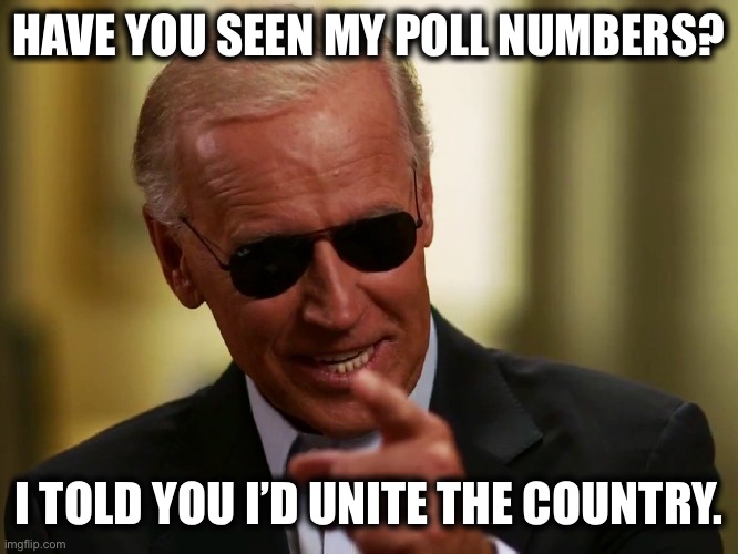 Cool Joe Biden | HAVE YOU SEEN MY POLL NUMBERS? I TOLD YOU I’D UNITE THE COUNTRY. | image tagged in cool joe biden | made w/ Imgflip meme maker