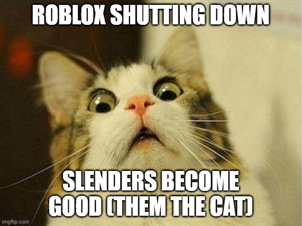 roblox be like | ROBLOX SHUTTING DOWN; SLENDERS BECOME GOOD (THEM THE CAT) | image tagged in funny,memes | made w/ Imgflip meme maker