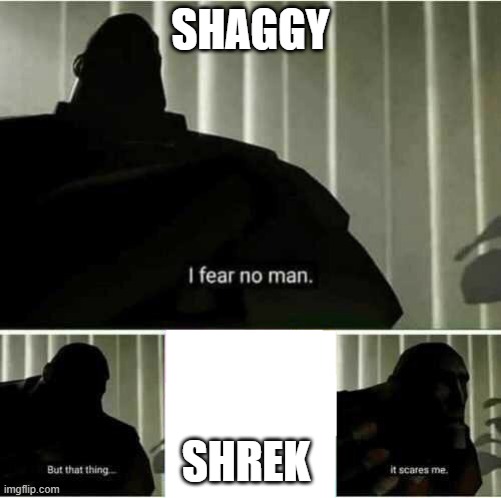 idk what to put yhere | SHAGGY; SHREK | image tagged in i fear no man,true tho | made w/ Imgflip meme maker