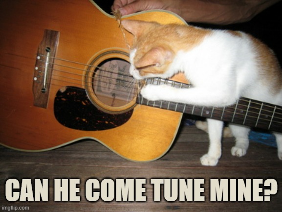 CAN HE COME TUNE MINE? | made w/ Imgflip meme maker