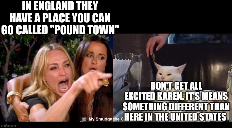 IN ENGLAND THEY HAVE A PLACE YOU CAN GO CALLED "POUND TOWN"; DON'T GET ALL EXCITED KAREN. IT'S MEANS SOMETHING DIFFERENT THAN HERE IN THE UNITED STATES | image tagged in smudge the cat | made w/ Imgflip meme maker
