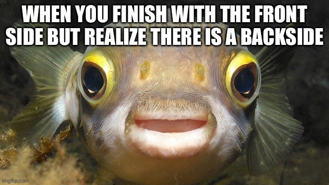 what fish | WHEN YOU FINISH WITH THE FRONT SIDE BUT REALIZE THERE IS A BACKSIDE | image tagged in what fish | made w/ Imgflip meme maker