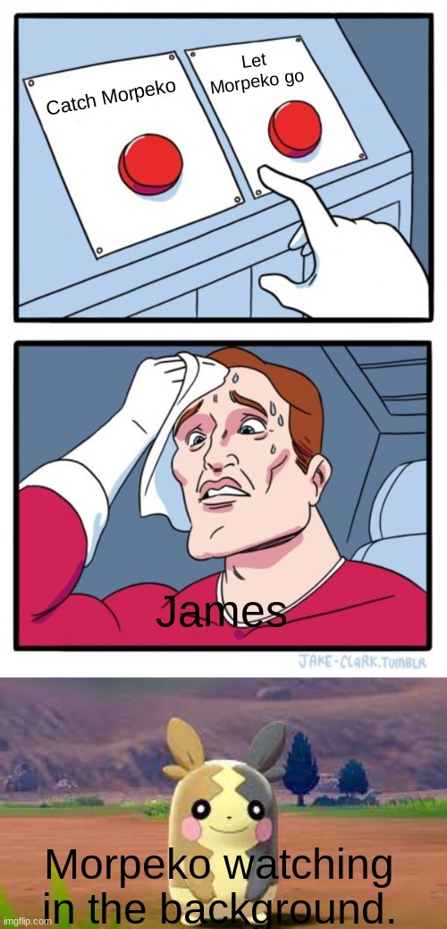 We all know what James picks. [It's catch Morpeko] | Let Morpeko go; Catch Morpeko; James; Morpeko watching in the background. | image tagged in memes,two buttons | made w/ Imgflip meme maker