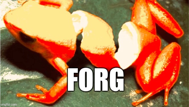 Forg | image tagged in forg | made w/ Imgflip meme maker