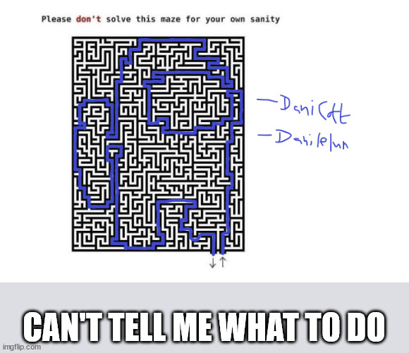 Took long enough | CAN'T TELL ME WHAT TO DO | image tagged in sussy puzzle solved,memes | made w/ Imgflip meme maker