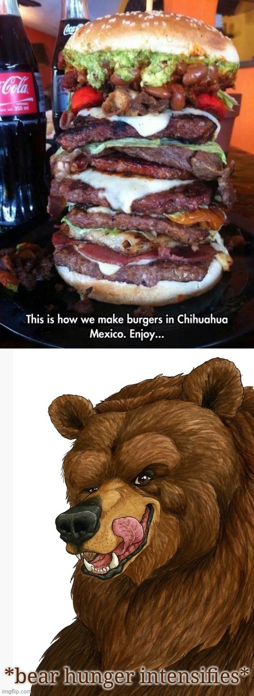 Humongous burger | image tagged in bear hunger intensifies,burgers,burger,memes,meme,hunger | made w/ Imgflip meme maker