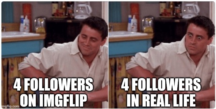 Joey from Friends | 4 FOLLOWERS ON IMGFLIP 4 FOLLOWERS IN REAL LIFE | image tagged in joey from friends | made w/ Imgflip meme maker