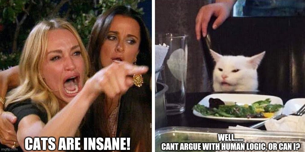 Smudge the cat | CATS ARE INSANE! WELL......

CANT ARGUE WITH HUMAN LOGIC, OR CAN I? | image tagged in smudge the cat | made w/ Imgflip meme maker