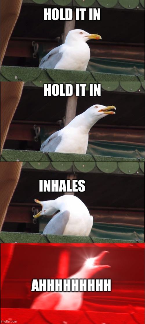 Inhaling Seagull | HOLD IT IN; HOLD IT IN; INHALES; AHHHHHHHHH | image tagged in memes,inhaling seagull | made w/ Imgflip meme maker