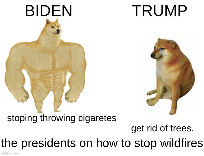 Buff Doge vs. Cheems | BIDEN; TRUMP; stoping throwing cigaretes                                                                              get rid of trees. the presidents on how to stop wildfires | image tagged in memes,buff doge vs cheems | made w/ Imgflip meme maker