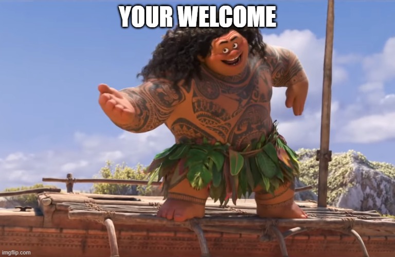 you're welcome without subs | YOUR WELCOME | image tagged in you're welcome without subs | made w/ Imgflip meme maker