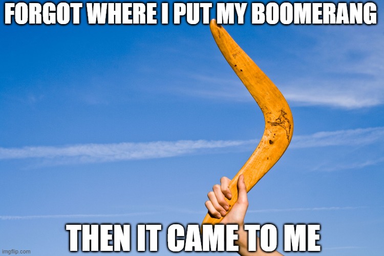 Dad jokes are the best | FORGOT WHERE I PUT MY BOOMERANG; THEN IT CAME TO ME | image tagged in boomerang | made w/ Imgflip meme maker