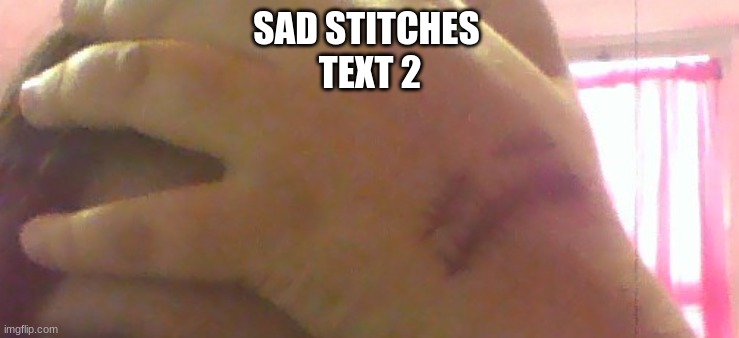 SAD STITCHES 
TEXT 2 | made w/ Imgflip meme maker