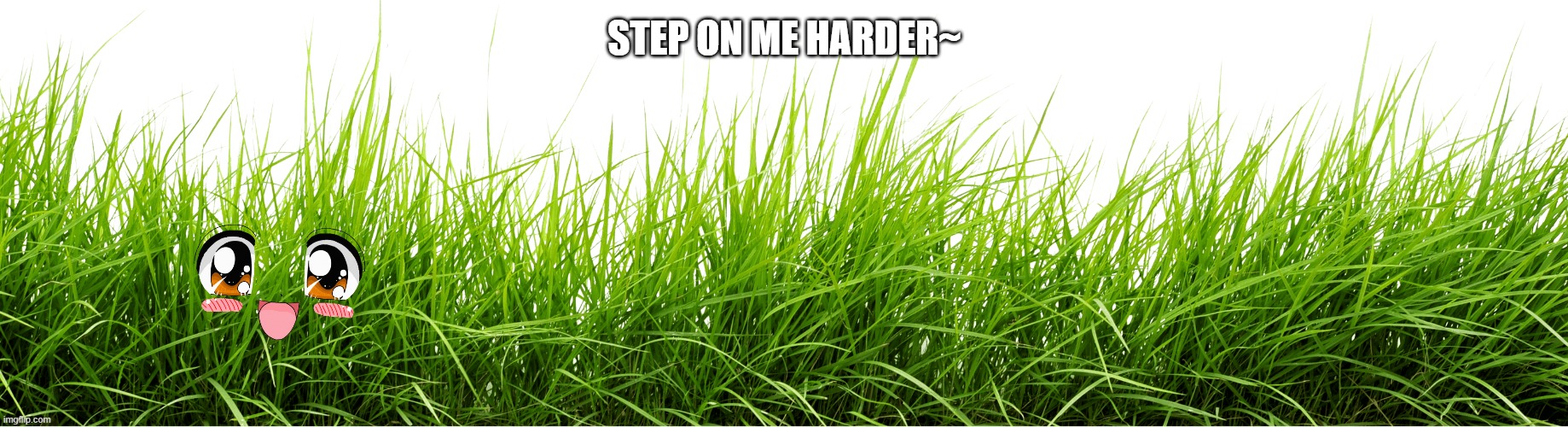 Grass | STEP ON ME HARDER~ | image tagged in grass | made w/ Imgflip meme maker