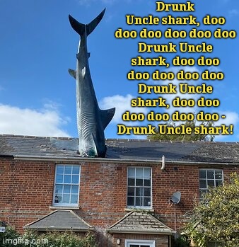 Baby Shark, the lost verse | Drunk Uncle shark, doo doo doo doo doo doo
Drunk Uncle shark, doo doo doo doo doo doo
Drunk Uncle shark, doo doo doo doo doo doo - 
Drunk Uncle shark! | image tagged in shark in roof architecture,weird,funny,baby shark | made w/ Imgflip meme maker
