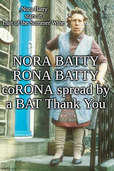 Nora Nutty As A Corona Fruit Bat Cake |  Nora Batty stars in 
Last of the Summer Wine; NORA BATTY
RONA BATTY
coRONA spread by a BAT Thank You | image tagged in last of the summer wine,nora,batty,corona,virus,bbc | made w/ Imgflip meme maker