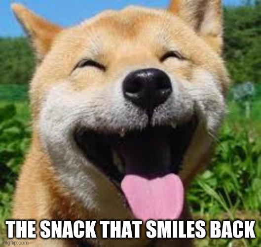 dog |  THE SNACK THAT SMILES BACK | image tagged in happy doge | made w/ Imgflip meme maker