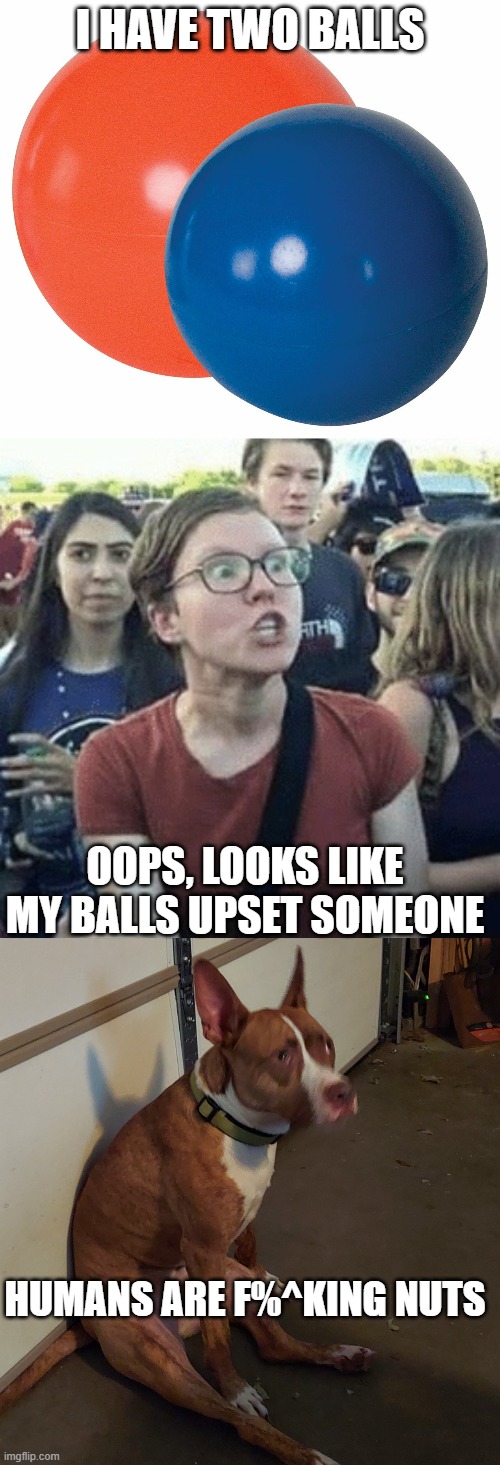 Lets Play Ball | I HAVE TWO BALLS; OOPS, LOOKS LIKE MY BALLS UPSET SOMEONE; HUMANS ARE F%^KING NUTS | image tagged in gender outrage,dirty dog,it's enough to make a grown man cry,shitstorm | made w/ Imgflip meme maker
