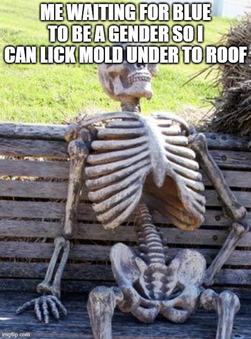Waiting Skeleton | ME WAITING FOR BLUE TO BE A GENDER SO I CAN LICK MOLD UNDER TO ROOF | image tagged in memes,waiting skeleton | made w/ Imgflip meme maker