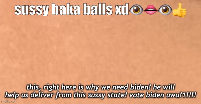 VOTE BIDEN FOR THE NEXT 69 YEARS GUYS WE NEED HIM HE WILL HELP US NGH!~ | sussy baka balls xd👁👄👁👍; this, right here is why we need biden! he will help us deliver from this sussy state! vote biden uwu!1!!!! | made w/ Imgflip meme maker
