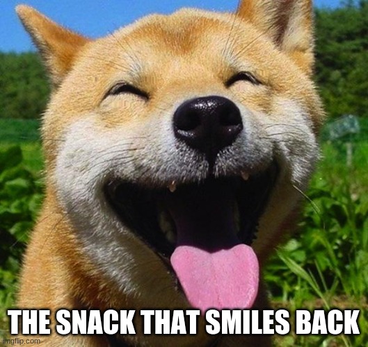 Smiling Dog | THE SNACK THAT SMILES BACK | image tagged in smiling dog | made w/ Imgflip meme maker
