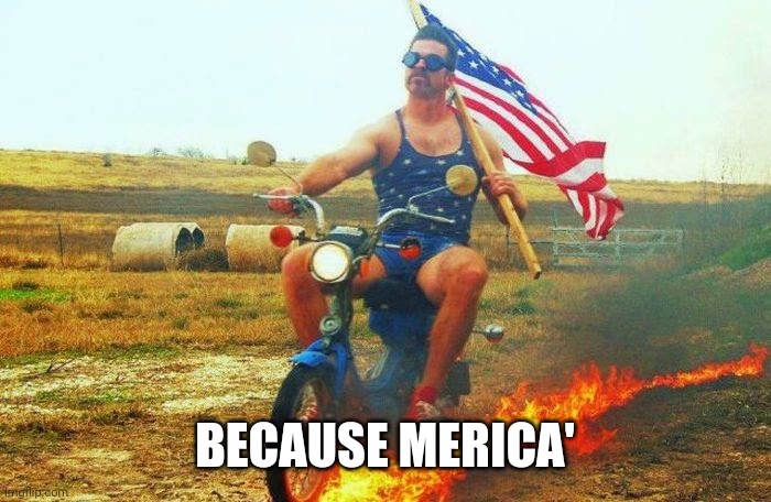 'merica scooter | BECAUSE MERICA' | image tagged in 'merica scooter | made w/ Imgflip meme maker