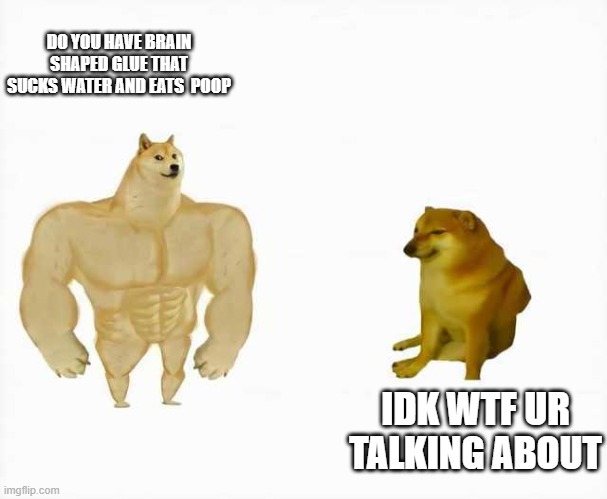 Strong dog vs weak dog | DO YOU HAVE BRAIN SHAPED GLUE THAT SUCKS WATER AND EATS  POOP; IDK WTF UR TALKING ABOUT | image tagged in strong dog vs weak dog | made w/ Imgflip meme maker