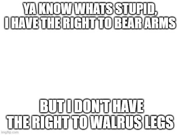 Blank White Template | YA KNOW WHATS STUPID, I HAVE THE RIGHT TO BEAR ARMS; BUT I DON'T HAVE THE RIGHT TO WALRUS LEGS | image tagged in blank white template,america,memes,walrus,funny memes,funny | made w/ Imgflip meme maker