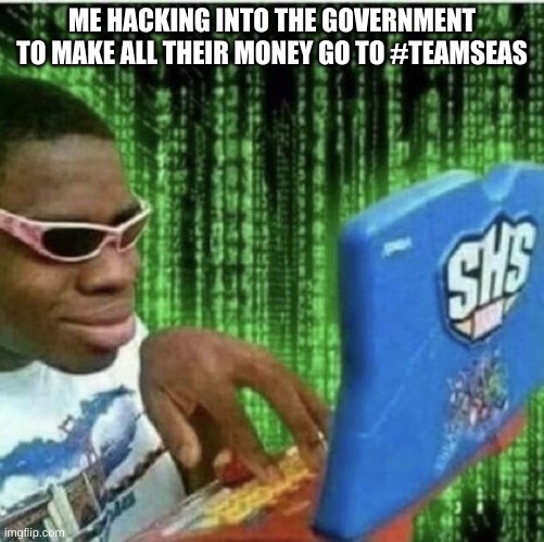 their not doing anything useful with it anyway | ME HACKING INTO THE GOVERNMENT TO MAKE ALL THEIR MONEY GO TO #TEAMSEAS | image tagged in ryan beckford | made w/ Imgflip meme maker
