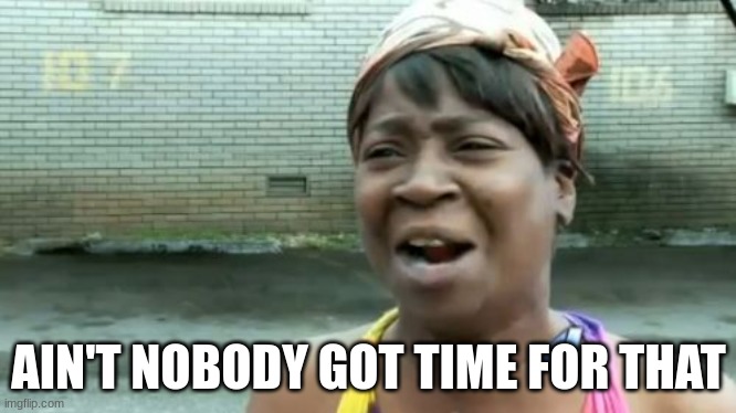 Ain't Nobody Got Time For That Meme | AIN'T NOBODY GOT TIME FOR THAT | image tagged in memes,ain't nobody got time for that | made w/ Imgflip meme maker