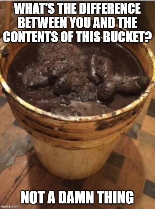 WHAT'S THE DIFFERENCE BETWEEN YOU AND THE CONTENTS OF THIS BUCKET? NOT A DAMN THING | made w/ Imgflip meme maker