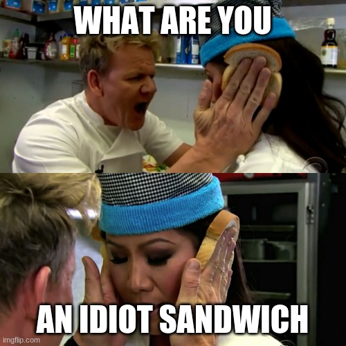Gordon Ramsay Idiot Sandwich | WHAT ARE YOU; AN IDIOT SANDWICH | image tagged in gordon ramsay idiot sandwich | made w/ Imgflip meme maker