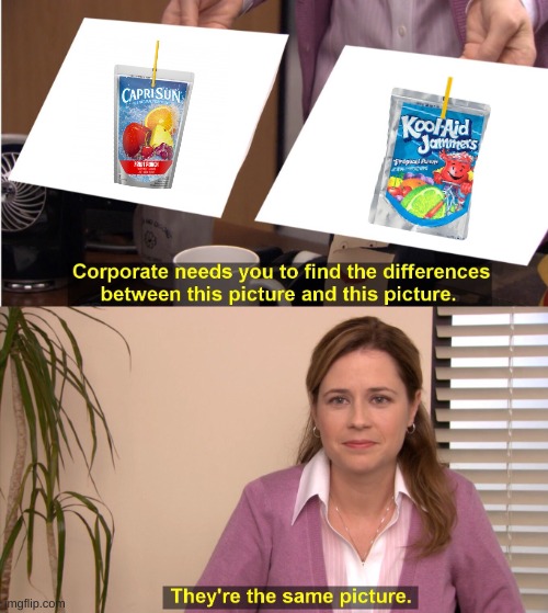 They're The Same Picture | image tagged in memes,they're the same picture | made w/ Imgflip meme maker