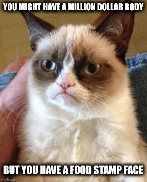 Grumpy Cat | YOU MIGHT HAVE A MILLION DOLLAR BODY; BUT YOU HAVE A FOOD STAMP FACE | image tagged in memes,grumpy cat | made w/ Imgflip meme maker
