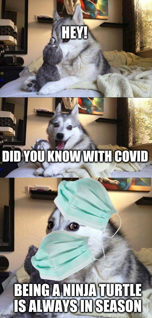 Bad Pun Dog | HEY! DID YOU KNOW WITH COVID; BEING A NINJA TURTLE IS ALWAYS IN SEASON | image tagged in memes,bad pun dog | made w/ Imgflip meme maker