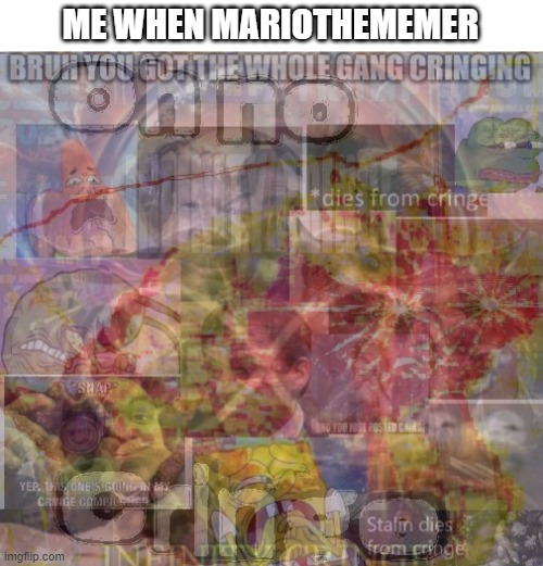 ¢ö¢ꝅ | ME WHEN MARIOTHEMEMER | image tagged in ultimate cringe | made w/ Imgflip meme maker
