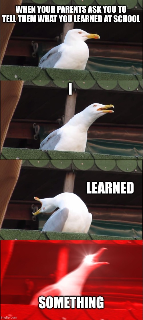 Inhaling Seagull Meme | WHEN YOUR PARENTS ASK YOU TO TELL THEM WHAT YOU LEARNED AT SCHOOL; I; LEARNED; SOMETHING | image tagged in memes,inhaling seagull | made w/ Imgflip meme maker