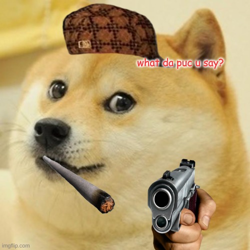 Dont be racist in da hood! | what da puc u say? | image tagged in memes,doge | made w/ Imgflip meme maker