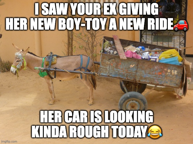 Ex Girlfriend Ridin' Dirty | I SAW YOUR EX GIVING HER NEW BOY-TOY A NEW RIDE🚗; HER CAR IS LOOKING KINDA ROUGH TODAY😂 | image tagged in donkey,funny memes,ex boyfriend,ex girlfriend,funny animal meme | made w/ Imgflip meme maker