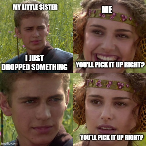 lmao | MY LITTLE SISTER; ME; I JUST DROPPED SOMETHING; YOU'LL PICK IT UP RIGHT? YOU'LL PICK IT UP RIGHT? | image tagged in anakin padme 4 panel | made w/ Imgflip meme maker